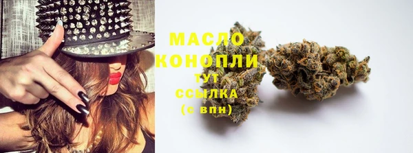 бошки Снежинск