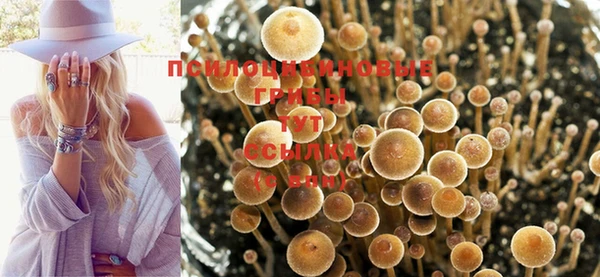 MDMA Premium VHQ Слюдянка