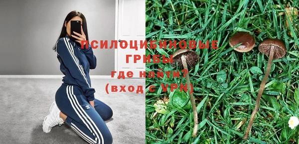 бошки Снежинск
