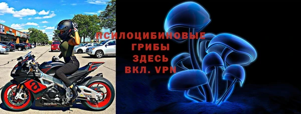 мет Снежногорск