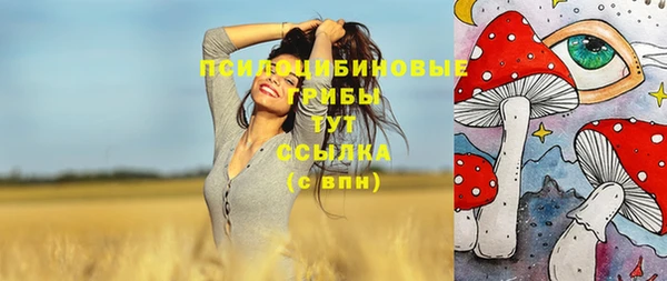 бошки Снежинск